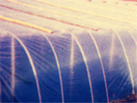 塑料薄膜 koochii.cn