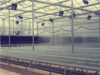 PC陽光板/玻璃溫室大棚 葡萄種植大棚