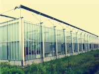PC陽光板/玻璃溫室大棚 養(yǎng)雞大棚